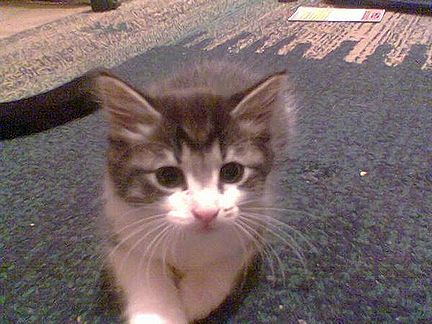 20070510.jpg